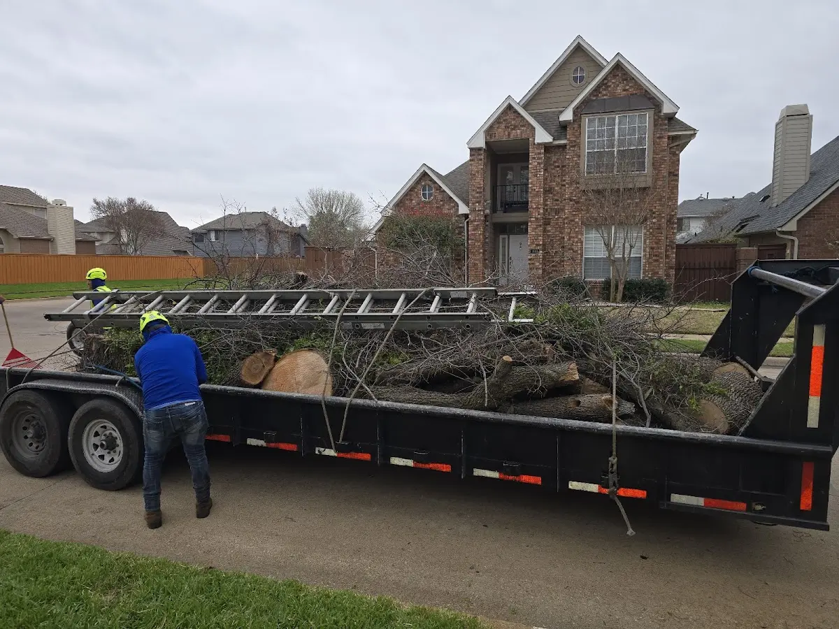 Expert Tree Fertilization with proper safety equipment in York